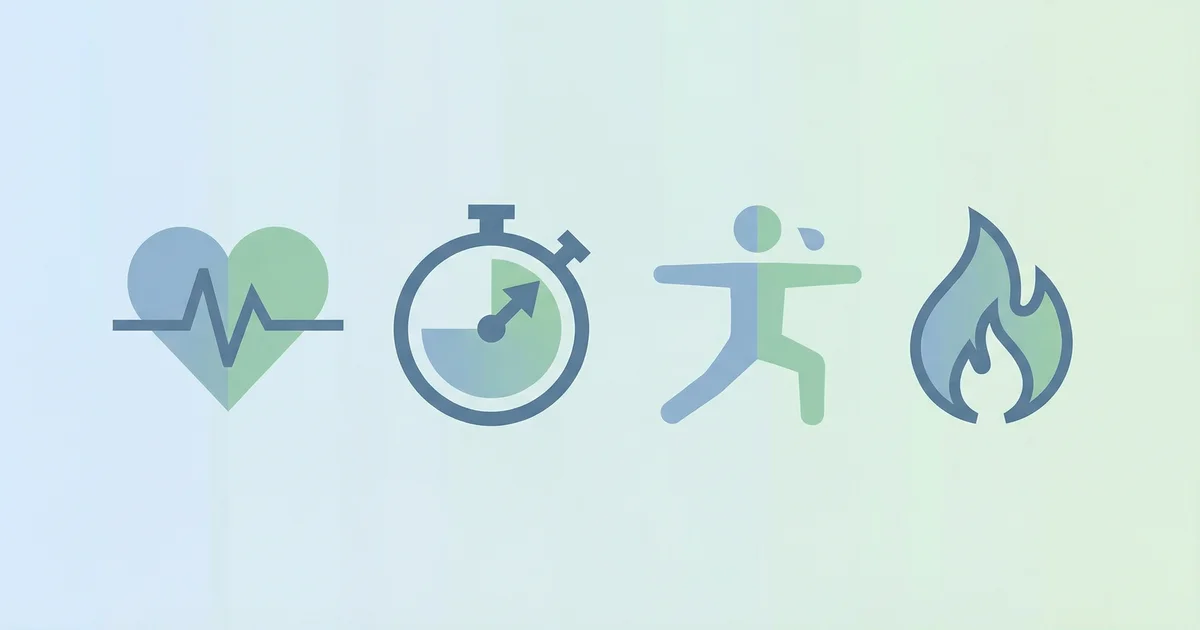 programme hiit brûle-graisse : 4 séances (2026)